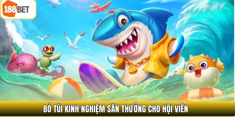 Bỏ túi kinh nghiệm săn thưởng cho hội viên 